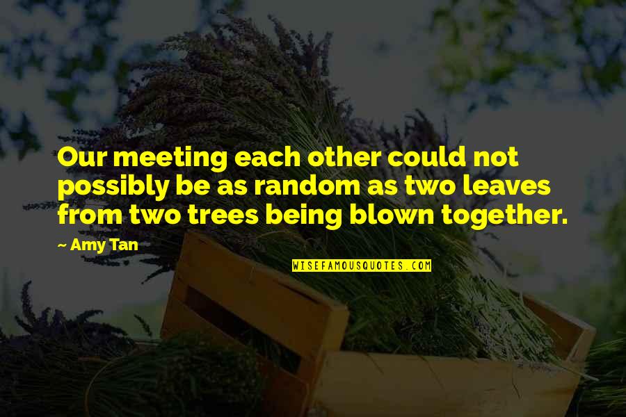 Two Trees Quotes By Amy Tan: Our meeting each other could not possibly be