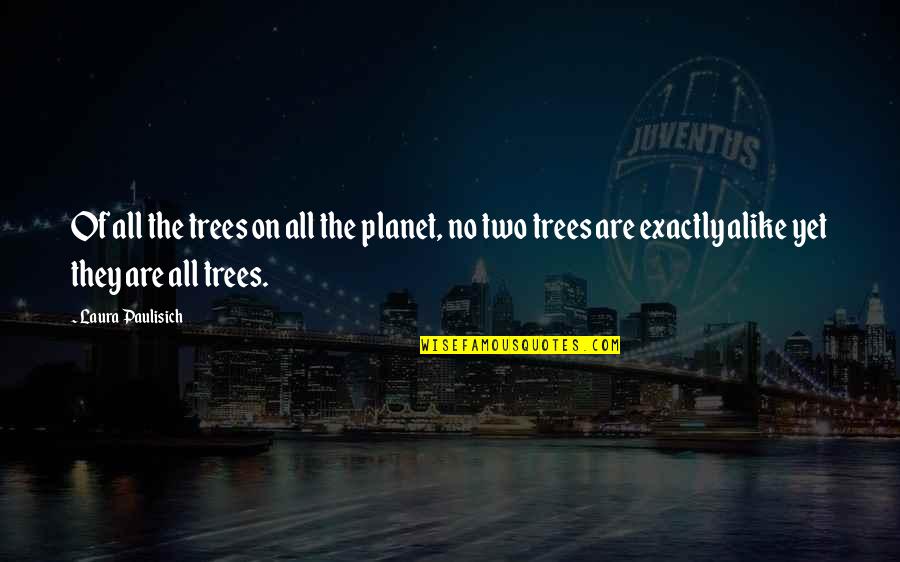 Two Trees Quotes By Laura Paulisich: Of all the trees on all the planet,