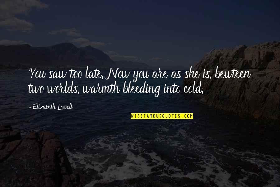 Two Worlds Quotes By Elizabeth Lowell: You saw too late. Now you are as