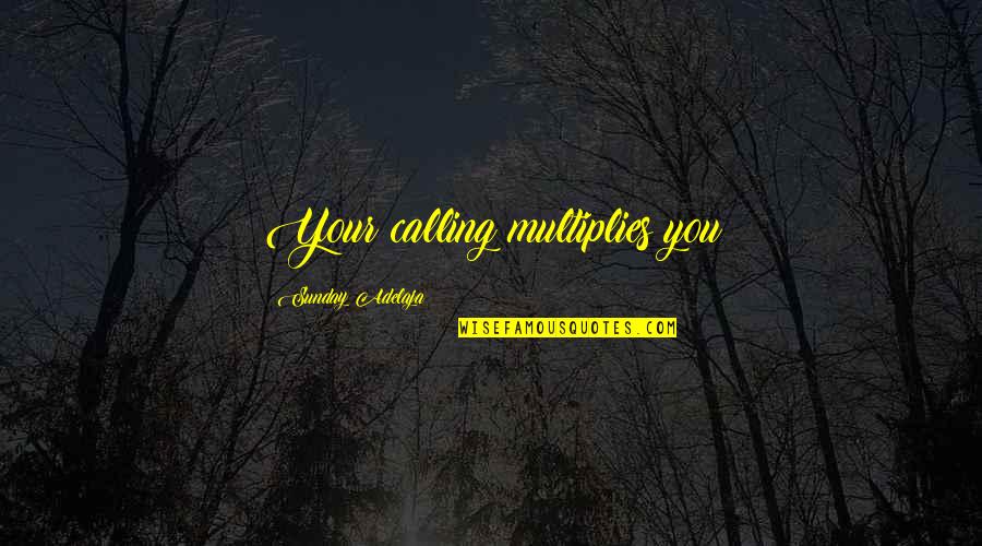 Tworld Sk Quotes By Sunday Adelaja: Your calling multiplies you