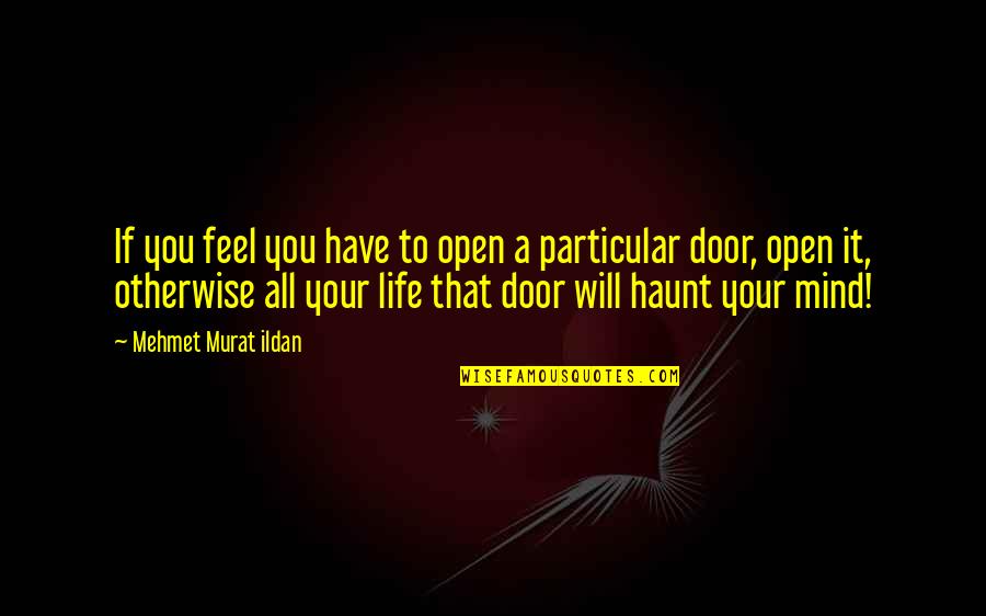 Txuboy Quotes By Mehmet Murat Ildan: If you feel you have to open a