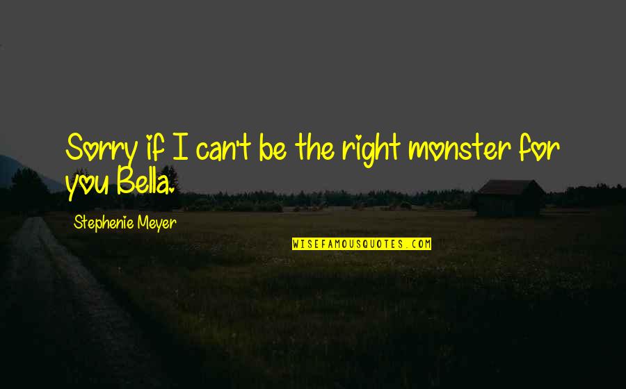 Ty Dolla Ign Quotes By Stephenie Meyer: Sorry if I can't be the right monster