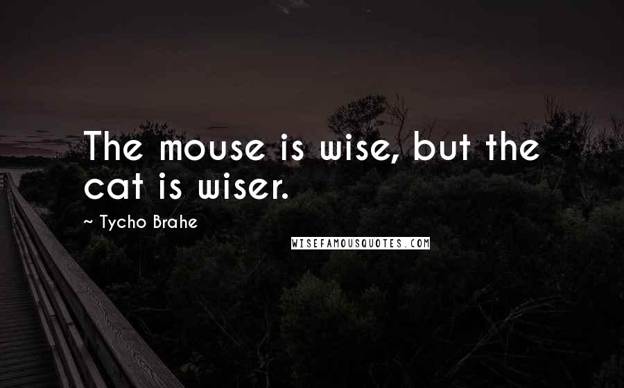 Tycho Brahe quotes: The mouse is wise, but the cat is wiser.