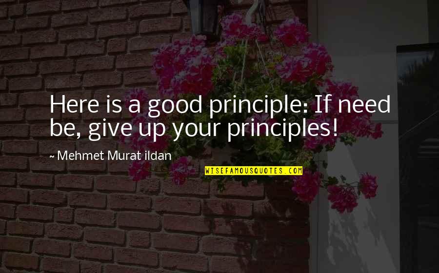 Tye Die Quotes By Mehmet Murat Ildan: Here is a good principle: If need be,