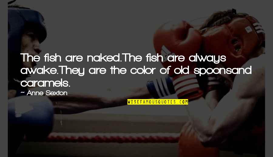Tyga Deuces Quotes By Anne Sexton: The fish are naked.The fish are always awake.They Tyga Deuces Quotes By Anne Sexton: The fish are naked.The fish are always awake.They