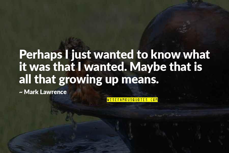 Tyler Gregory Knott Quotes By Mark Lawrence: Perhaps I just wanted to know what it