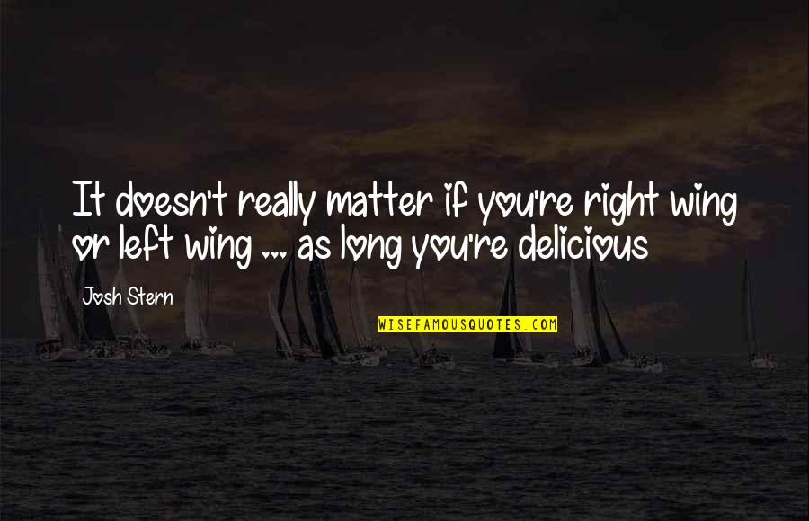 Tyler Knott Gregson Birthday Quotes By Josh Stern: It doesn't really matter if you're right wing