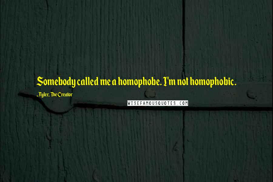 Tyler, The Creator quotes: Somebody called me a homophobe. I'm not homophobic.