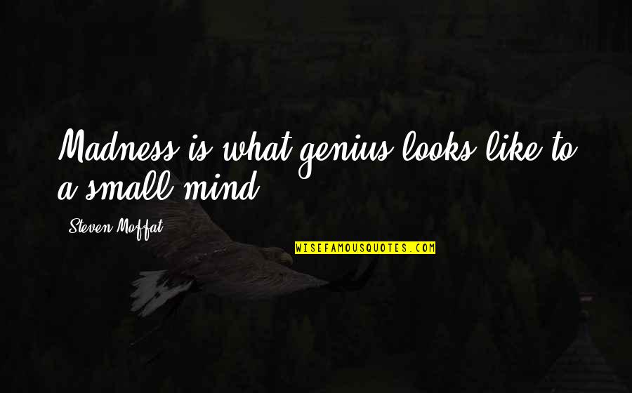 Tylon 200 Quotes By Steven Moffat: Madness is what genius looks like to a Tylon 200 Quotes By Steven Moffat: Madness is what genius looks like to a