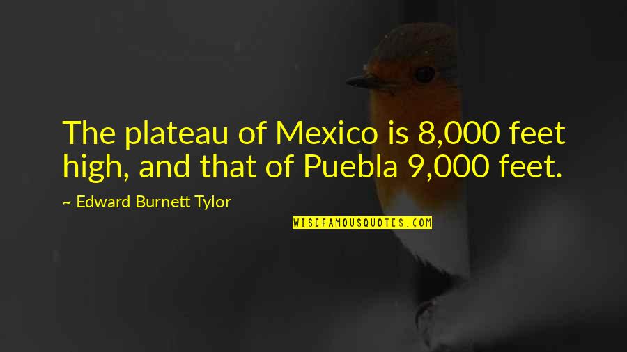 Tylor Quotes By Edward Burnett Tylor: The plateau of Mexico is 8,000 feet high, Tylor Quotes By Edward Burnett Tylor: The plateau of Mexico is 8,000 feet high,