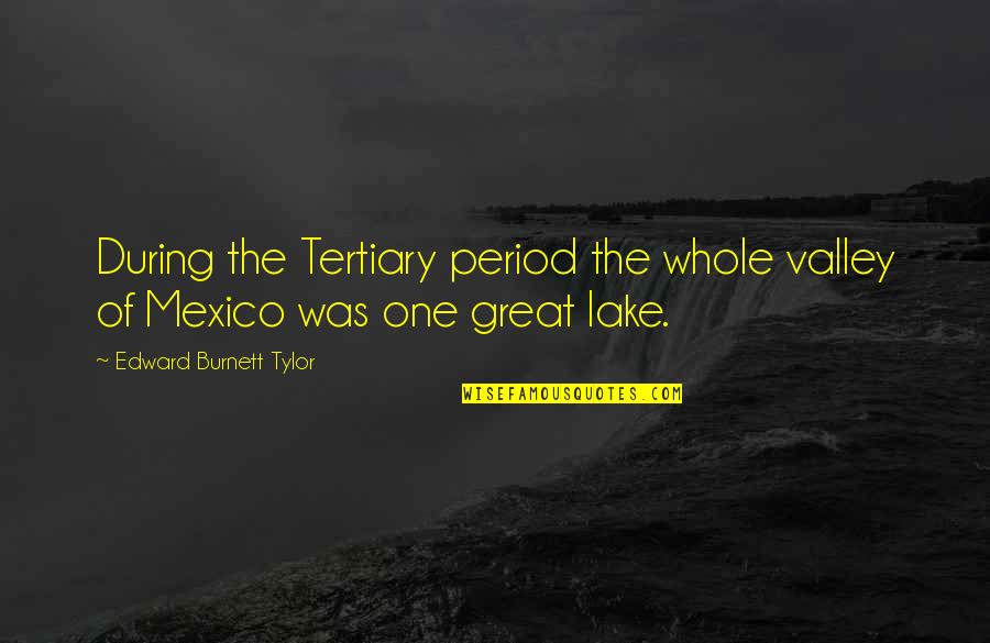 Tylor Quotes By Edward Burnett Tylor: During the Tertiary period the whole valley of Tylor Quotes By Edward Burnett Tylor: During the Tertiary period the whole valley of