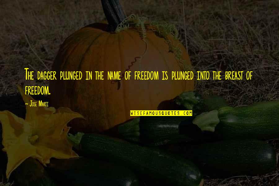 Tymczasem Czy Quotes By Jose Marti: The dagger plunged in the name of freedom