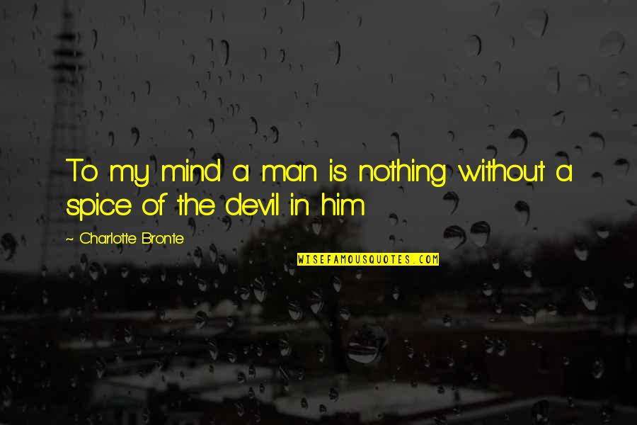 Typical Irish Quotes By Charlotte Bronte: To my mind a man is nothing without