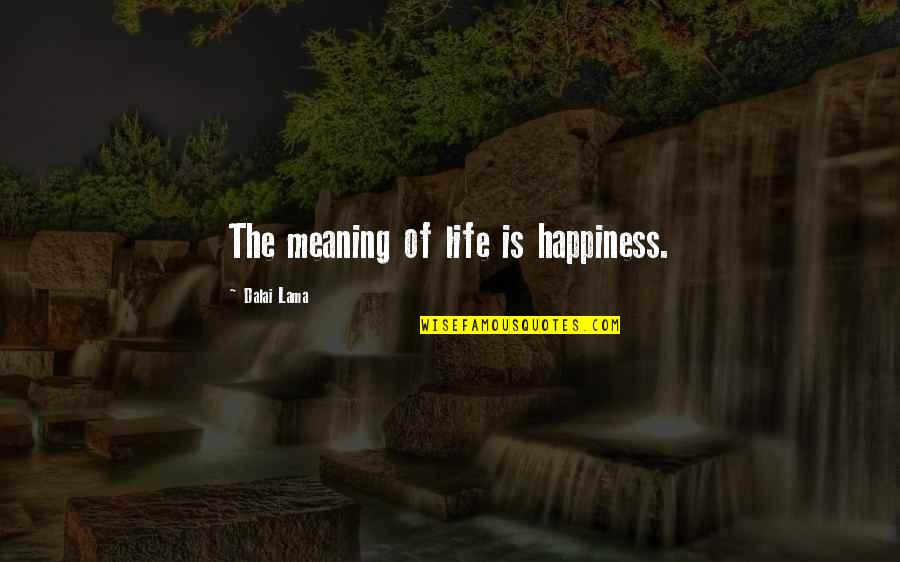 Typists Quotes By Dalai Lama: The meaning of life is happiness.