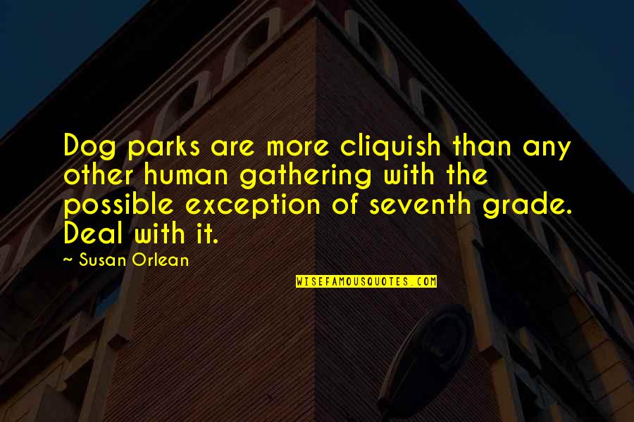 Typography Inspire Quotes By Susan Orlean: Dog parks are more cliquish than any other