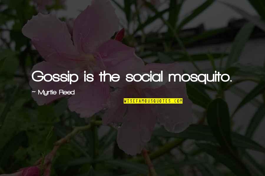 Typography Love Quotes By Myrtle Reed: Gossip is the social mosquito.