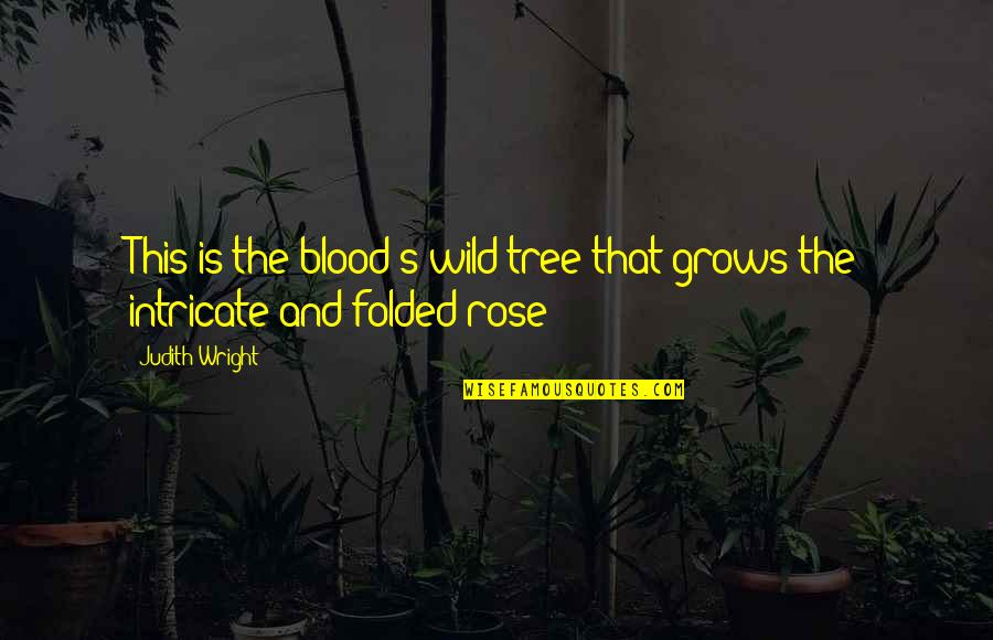 Tyr Anasazi Quotes By Judith Wright: This is the blood's wild tree that grows