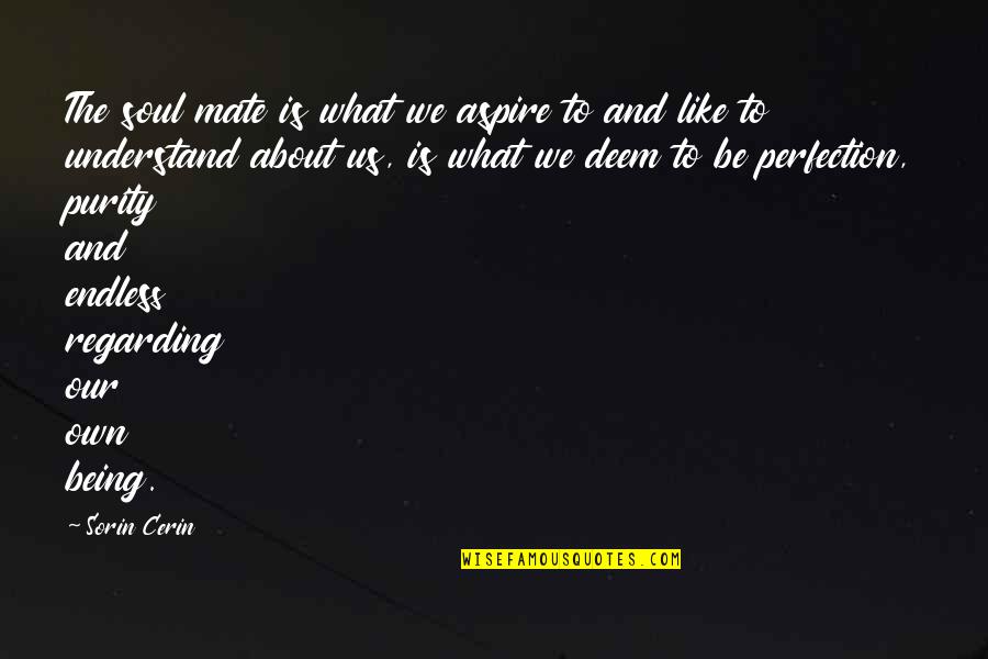 Tyrannicide Catholic Teachings Quotes By Sorin Cerin: The soul mate is what we aspire to Tyrannicide Catholic Teachings Quotes By Sorin Cerin: The soul mate is what we aspire to