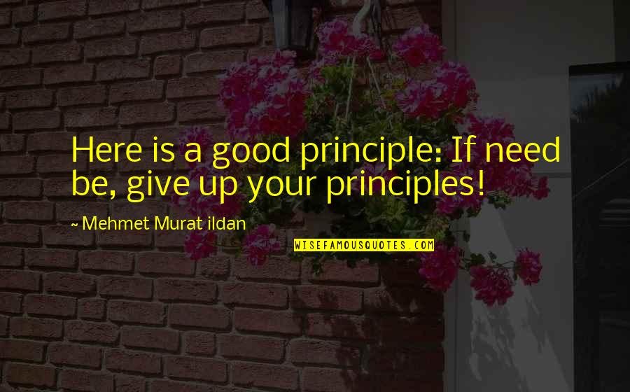 Tyreese Walking Dead Quotes By Mehmet Murat Ildan: Here is a good principle: If need be, Tyreese Walking Dead Quotes By Mehmet Murat Ildan: Here is a good principle: If need be,