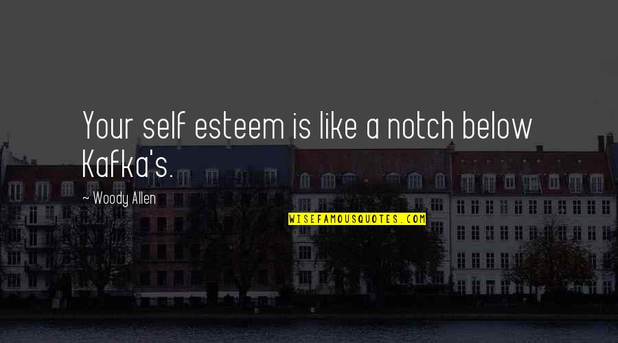 Tyreke Scott Quotes By Woody Allen: Your self esteem is like a notch below