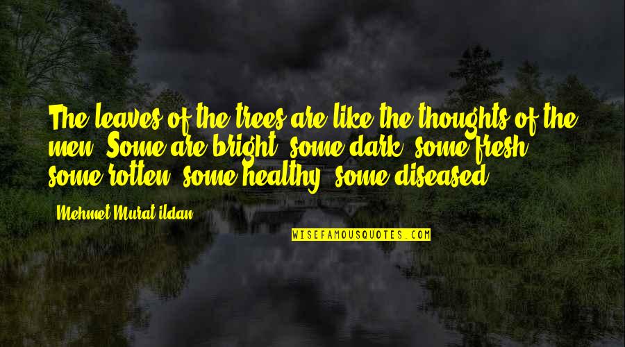 Tyrone Games Quotes By Mehmet Murat Ildan: The leaves of the trees are like the Tyrone Games Quotes By Mehmet Murat Ildan: The leaves of the trees are like the
