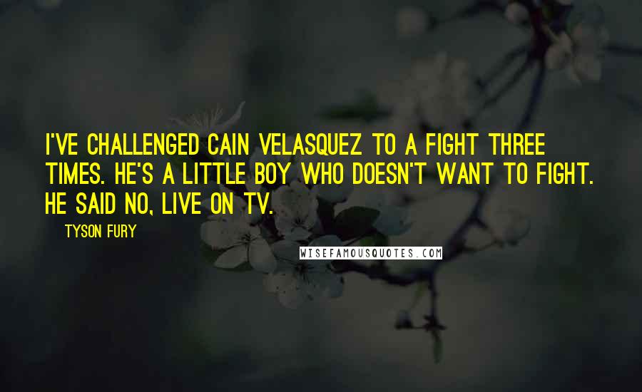 Tyson Fury quotes: I've challenged Cain Velasquez to a fight three times. He's a little boy who doesn't want to fight. He said no, live on TV.