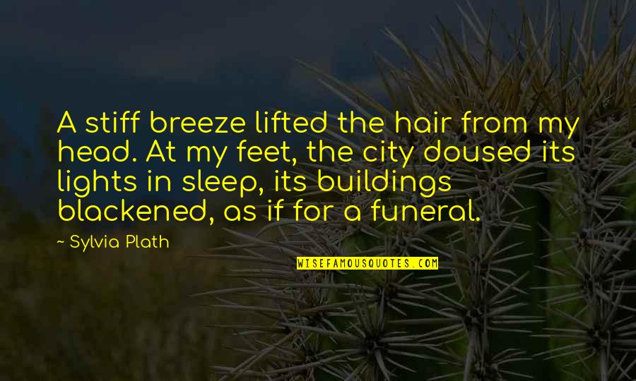 Tysseland Arkitektur Quotes By Sylvia Plath: A stiff breeze lifted the hair from my Tysseland Arkitektur Quotes By Sylvia Plath: A stiff breeze lifted the hair from my