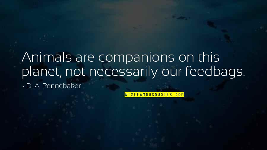 Tzachi Halevy Quotes By D. A. Pennebaker: Animals are companions on this planet, not necessarily Tzachi Halevy Quotes By D. A. Pennebaker: Animals are companions on this planet, not necessarily