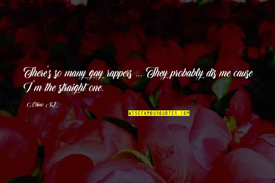 Tzemach Rosenfeld Quotes By Chino XL: There's so many gay rappers ... They probably