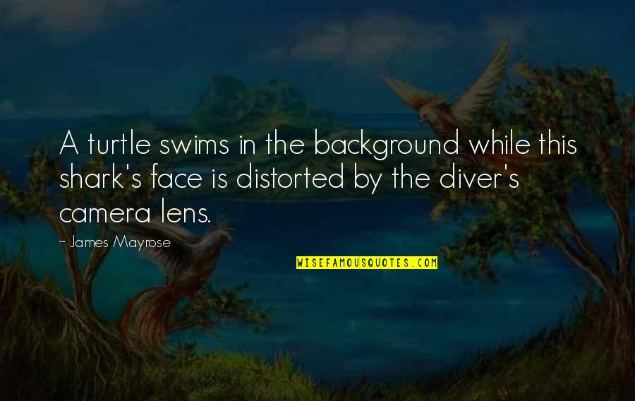 Tzioumis Quotes By James Mayrose: A turtle swims in the background while this Tzioumis Quotes By James Mayrose: A turtle swims in the background while this
