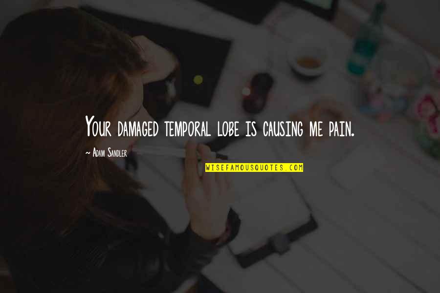 Tzusk Quotes By Adam Sandler: Your damaged temporal lobe is causing me pain. Tzusk Quotes By Adam Sandler: Your damaged temporal lobe is causing me pain.