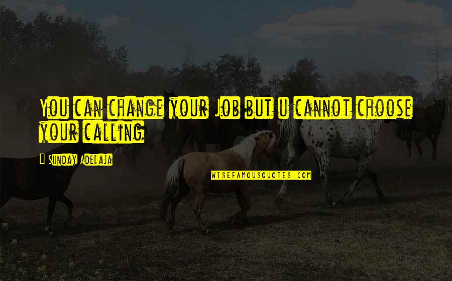 U Choose Quotes By Sunday Adelaja: You can change your Job but u cannot