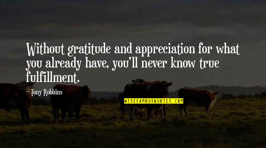 U Never Know What You Have Quotes By Tony Robbins: Without gratitude and appreciation for what you already