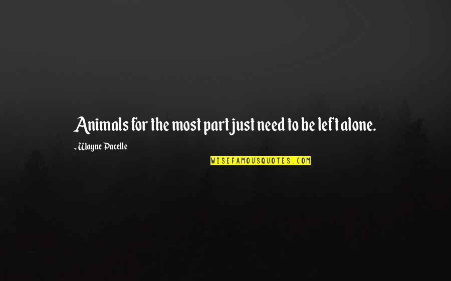 U R Alone Quotes By Wayne Pacelle: Animals for the most part just need to