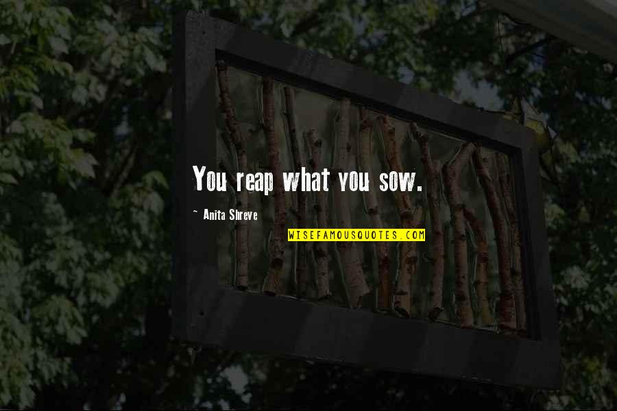 U Reap What You Sow Quotes By Anita Shreve: You reap what you sow.