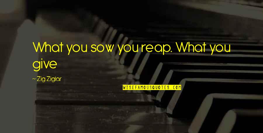 U Reap What You Sow Quotes By Zig Ziglar: What you sow you reap. What you give