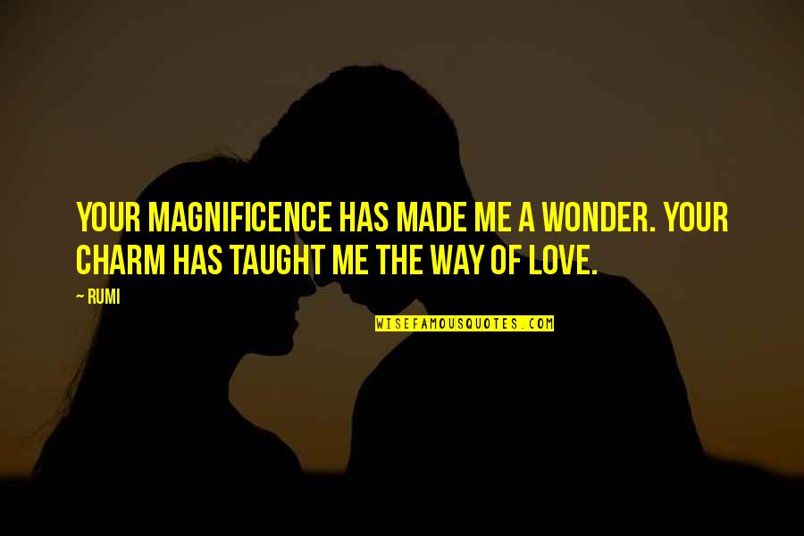 U Taught Me Love Quotes By Rumi: Your magnificence has made me a wonder. Your