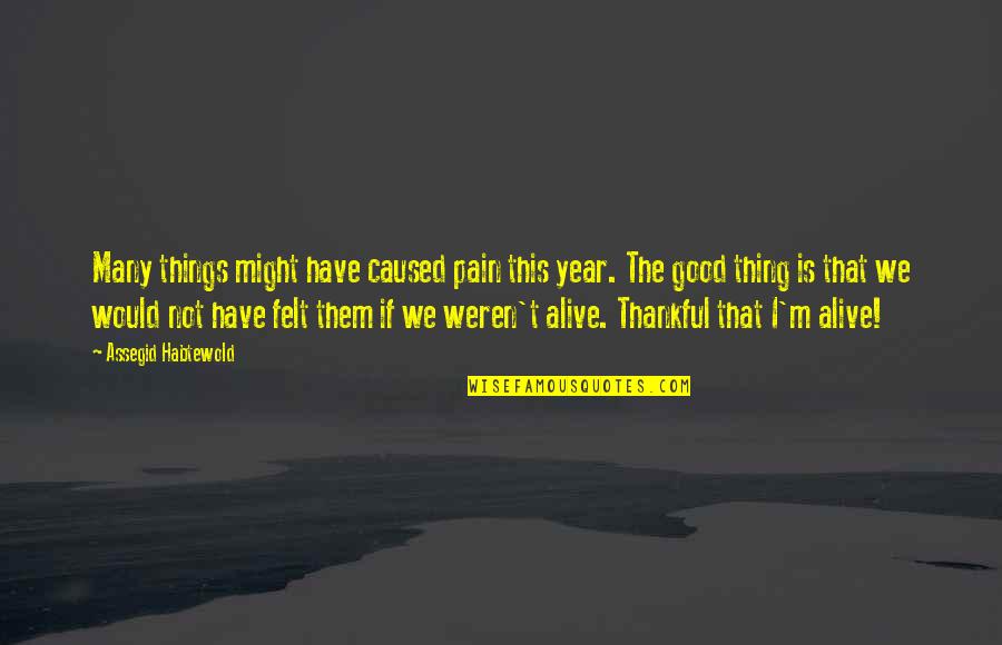 U Thankfulness Quotes By Assegid Habtewold: Many things might have caused pain this year. U Thankfulness Quotes By Assegid Habtewold: Many things might have caused pain this year.