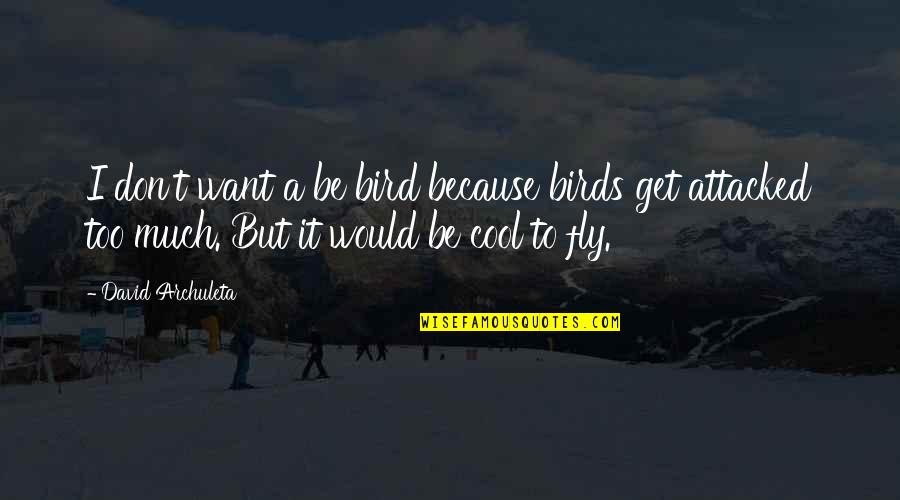 Ubie Quotes By David Archuleta: I don't want a be bird because birds Ubie Quotes By David Archuleta: I don't want a be bird because birds
