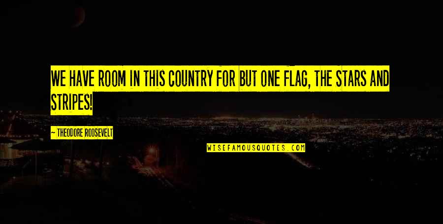 Ubiq Quotes By Theodore Roosevelt: We have room in this country for but