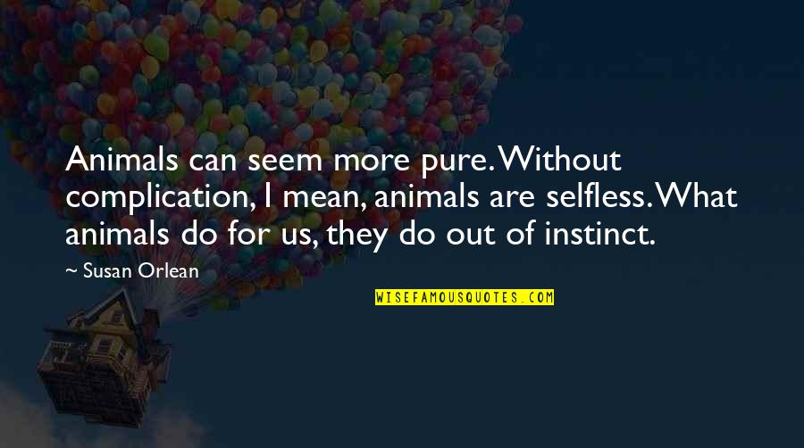 Ubiratan Salgado Quotes By Susan Orlean: Animals can seem more pure. Without complication, I Ubiratan Salgado Quotes By Susan Orlean: Animals can seem more pure. Without complication, I