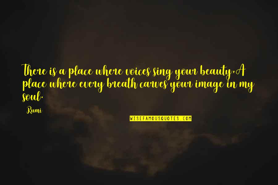 Ubojstvo Iz Quotes By Rumi: There is a place where voices sing your