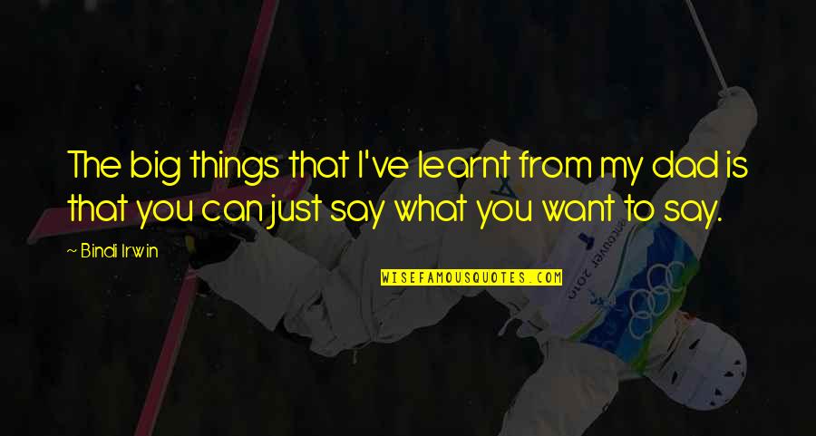 Ubriachi In Music Quotes By Bindi Irwin: The big things that I've learnt from my Ubriachi In Music Quotes By Bindi Irwin: The big things that I've learnt from my