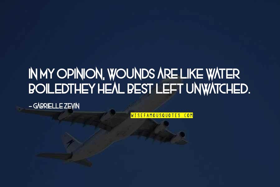 Ud Jo Kaluguran Daka Quotes By Gabrielle Zevin: In my opinion, wounds are like water boiledthey