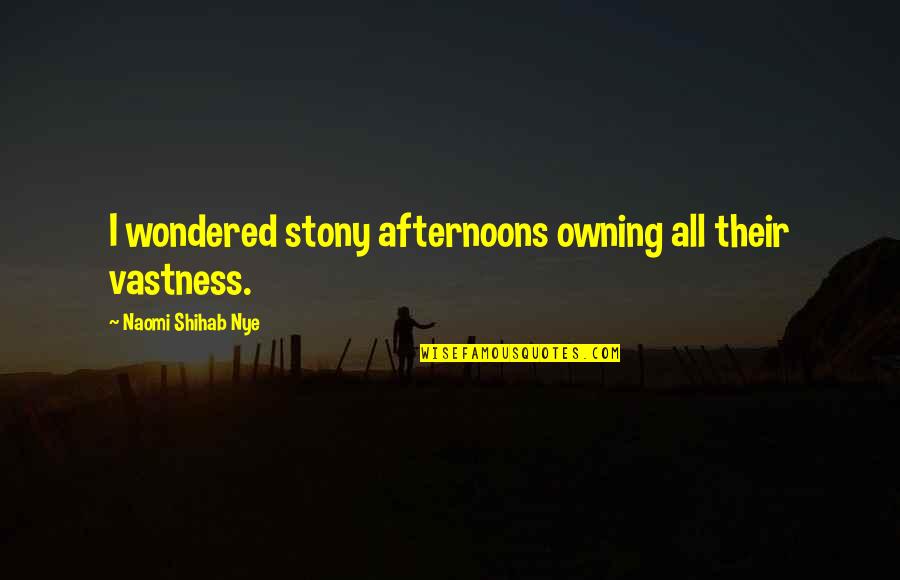 Udajem Quotes By Naomi Shihab Nye: I wondered stony afternoons owning all their vastness.