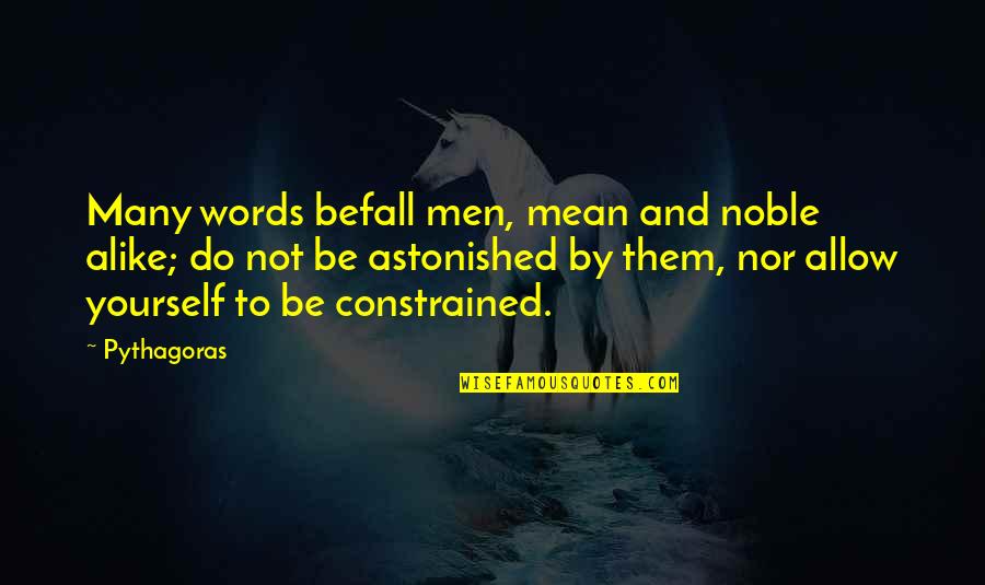 Udanypobyt Quotes By Pythagoras: Many words befall men, mean and noble alike;