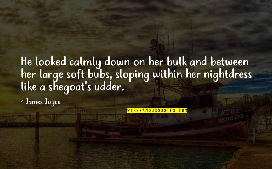 Udder Quotes By James Joyce: He looked calmly down on her bulk and