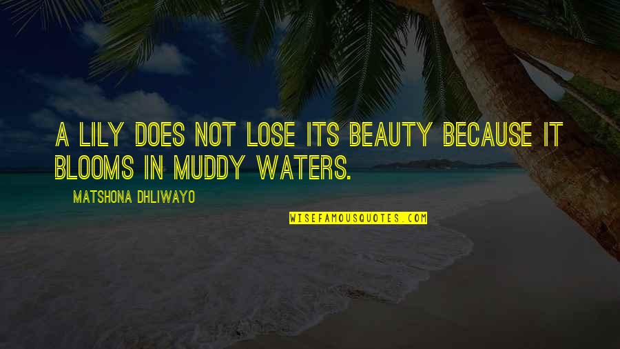 Ueno Naoka Quotes By Matshona Dhliwayo: A lily does not lose its beauty because