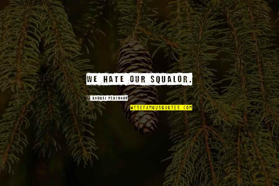Ufer Rod Quotes By Andrei Platonov: We hate our squalor. Ufer Rod Quotes By Andrei Platonov: We hate our squalor.