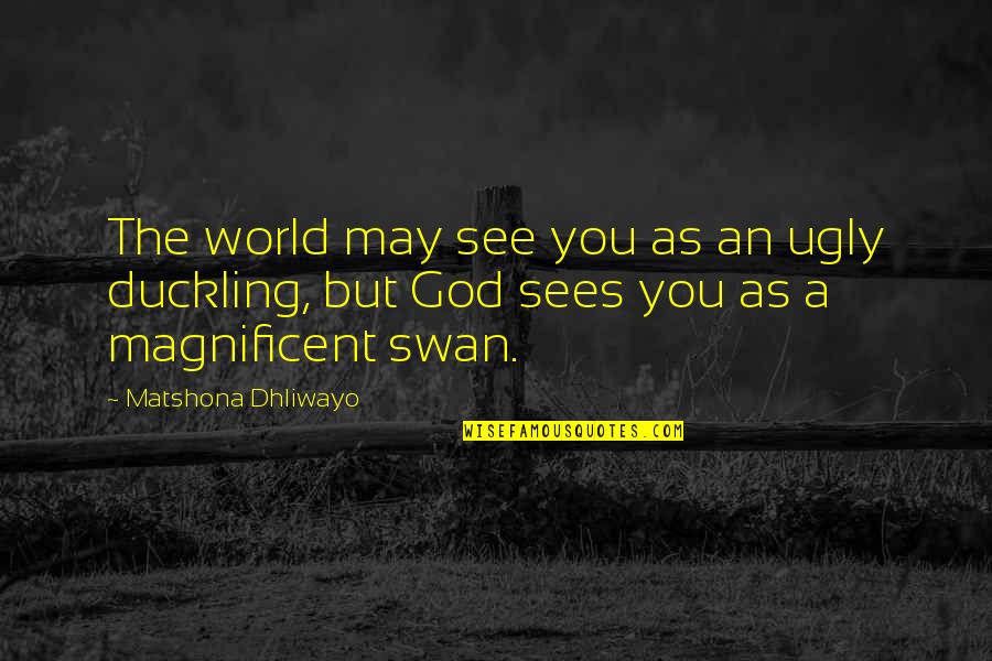 Ugly Duckling Quotes By Matshona Dhliwayo: The world may see you as an ugly